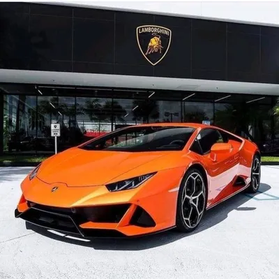 ламборджини | Best luxury cars, Sports cars lamborghini, Lamborghini