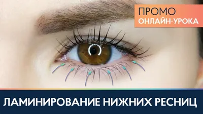 Ресницы, которые вызывают зависть: красивые фотки после ламинации