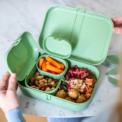 Koziol - Pascal Ready lunch box set with Klikk cutlery ( Organic ) | Connox