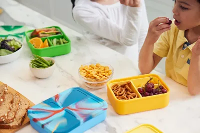 The Non-Toxic Lunchbox - What To Look For And What To Avoid