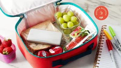 The Best Ice Packs for Lunch Boxes 2019 | Epicurious