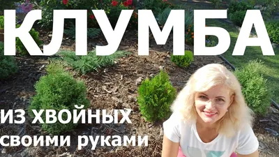 Фотография дизайна участка перед домом с использованием камней