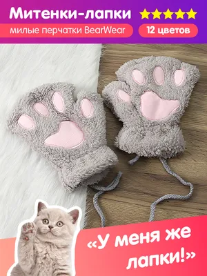 Лапки кота стоковое фото. изображение насчитывающей ветеринар - 34399042