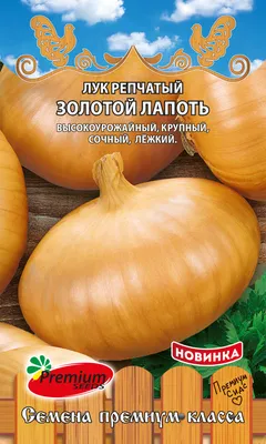 Новогодняя вечеринка в ресторане Лапоть (ул. Большая Дмитровка, 11) |  Спецпроекты restorating.ru