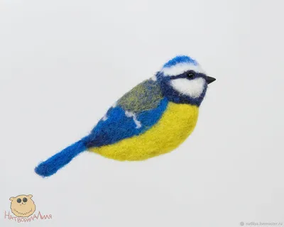 Гибридная лазоревка (Parus (caeruleus x cyanus)). Птицы Сибири.