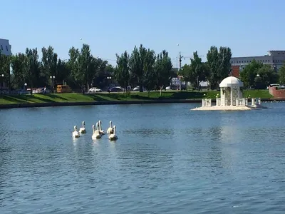 19 августа на Лебедином озере в Астрахани устроят «Музыку на воде»