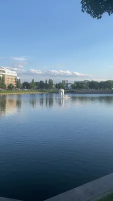 Лебединое озеро предстанет перед астраханцами в новом облике | 21.05.2020 |  Астрахань - БезФормата