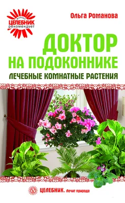 Алое Вера широколистный, лечебный и красивый комнатный цветок  (ID#1968443851), цена: 100 ₴, купить на Prom.ua