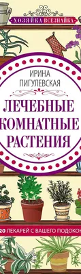 Миф или правда: 8 интересных фактов о комнатных растениях, которые растут в  домах калининградцев - Погода Mail.ru