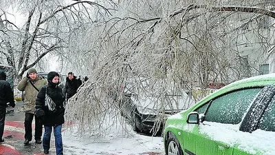 В Москве начался ледяной дождь - РИА Новости, 03.01.2023