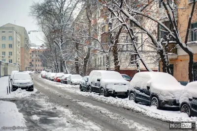 Москвичам пообещали метель и ледяной дождь во вторник - РИА Новости,  21.11.2022