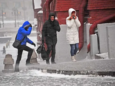 Поехавшие: на Москву обрушился ледяной дождь в Новый год (ФОТО; ВИДЕО) —  Новости Хабаровска