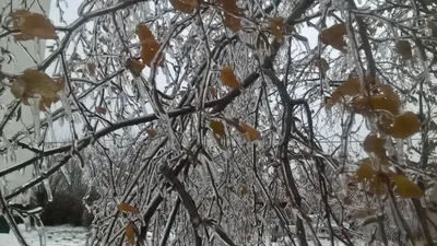 В Москве 31 января возможен ледяной дождь