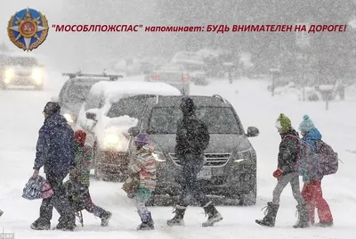 Ледяной дождь в Москве повалил сотни деревьев