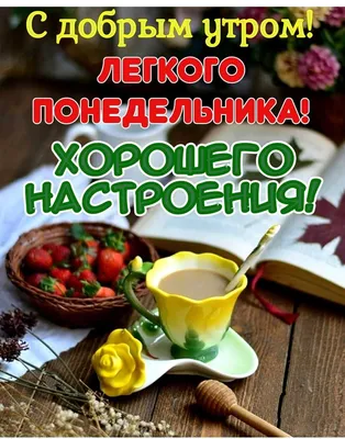 Добрейшего утра! Лёгкого понедельника 😜😊🤗🌞🌞🌞🌈 #доброеутро  #настроение #позитив #gudmorning #мантра #аффирмации #юмор #сюморомпожизни  | Instagram