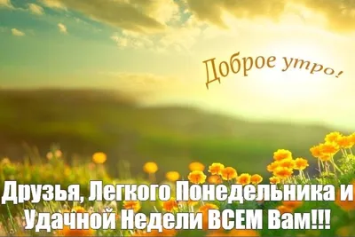 Доброе утро! Позитивного настроения! Легкого понедельника и удачной недели!