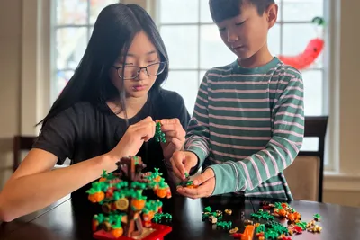 This Lovely Lego Set Helps My Family Invite Good Luck for Lunar New Year |  Reviews by Wirecutter