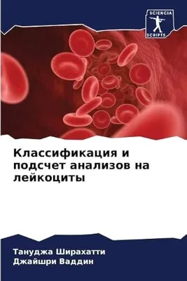 Лейкоциты в анализе крови (WBС): как расшифровать анализ? | Клиника Эксперт