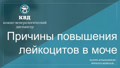 Лейкоциты в моче - норма у ребенка, женщин, мужчин, причины повышенных  значений