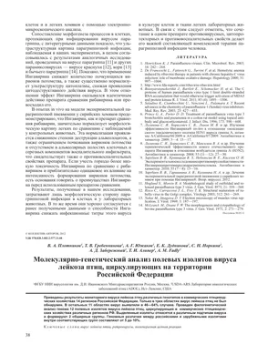 В Калужской области в 7 очагах птичьего гриппа уничтожили домашнюю птицу