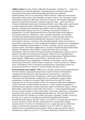 Ну, понеслась: в РФ вывели кур, дающих яйца для производства вакцин |  Статьи | Известия