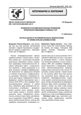 Лейкоз птиц, введение, патогенез, клинические признаки, профилактика |  Рефераты Ветеринария | Docsity