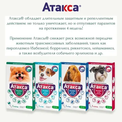 Капли для собак Elanco Адвантикс от 25 до 40 кг против блох и клещей  1пипетка купить по цене 1050 ₽ с доставкой в Москве и России, отзывы, фото