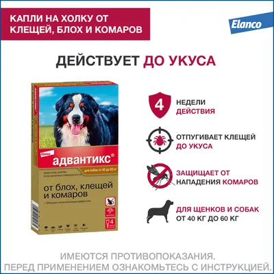 Frontline Tri-Act (Фронтлайн Три-Акт) Капли для собак от 20 до 40 кг купить  Средства от блох и клещей собакам | Zoolandia