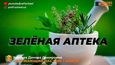 Комнатные лекарственные растения - Коллектив авторов. Доставка по России -  SHOP-RE-BOOKS - магазин прочитанных книг