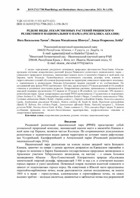 Купить Травы Кавказа сбор Зеленая аптека №11 при повышенном давлении крови  (гипертонии) 225 г по Промокоду SIDEX250 в г. Иркутск + обзор и отзывы - Лекарственные  растения в Иркутск (Артикул: NZFZWXZ)