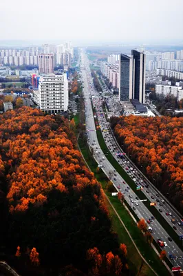 Ленинский проспект (Москва) — Википедия