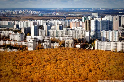 Ленинский проспект - Гагаринский район Москва - Огни Ленинского проспекта🌆  Фото: Москва Live | Facebook