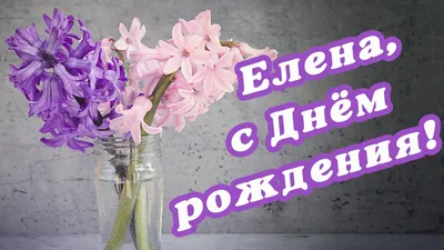 ЛЕНА С ДНЁМ РОЖДЕНИЯ! 🌺 ПОЗДРАВЛЕНИЕ ДЛЯ ЛЕНЫ / ЕЛЕНЕ / ПОЗДРАВЛЕНИЕ С  ДНЁМ РОЖДЕНИЯ 🌺 #МИЛЫЙДРУГ - YouTube