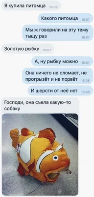 Приколы про Лену (13 фото) - shutniks.com