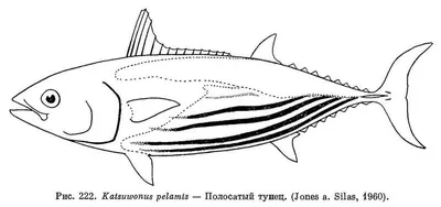 Ужасные манипуляторы