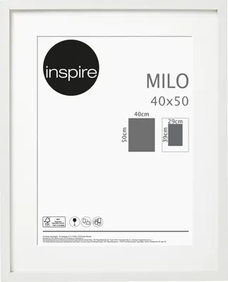 Рамка Inspire Milo, 40х50 см, цвет белый по цене 596 ₽/шт. купить в  Новосибирске в интернет-магазине Леруа Мерлен