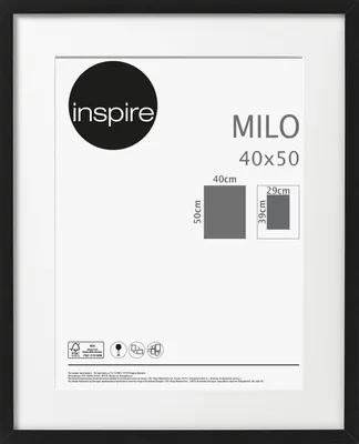 Рамка Inspire «Milo», 40х50 см, цвет чёрный по цене 596 ₽/шт. купить в  Москве в интернет-магазине Леруа Мерлен