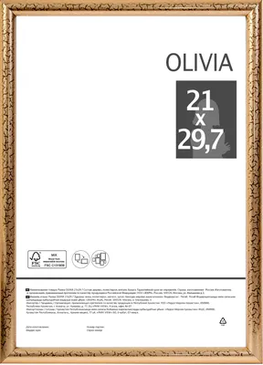 Рамка Olivia, 21x29.7 см, пластик, цвет золото по цене 214 ₽/шт. купить в  Новосибирске в интернет-магазине Леруа Мерлен