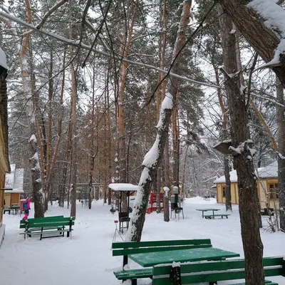 Отзыв о База отдыха \"Лесная крепость\" (Россия, Самара) | Вполне приличный  вариант, особенно, с группой детей...