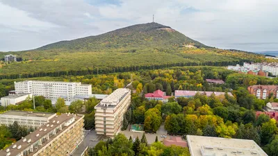 В Ставрополе закрылся детский лагерь \"Лесная поляна\" до следующего лета -  АТВмедиа