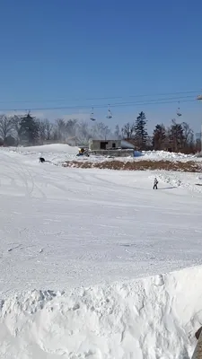 Коттеджный поселок Лесная поляна - цены на дома в КП Лесная поляна, фото и  генплан, Дмитровское шоссе | Avaho.ru