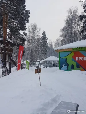 Купить Дом в Снт в Горнолыжном комплексе Лесной республике (Новокузнецк) -  предложения о продаже частных домов в ДНП недорого: планировки, цены и фото  – Домклик