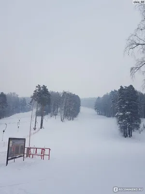 Гостиница ШАЛЕ - КУРОРТ ЛЕСНАЯ РЕСПУБЛИКА 3*, г. Новокузнецк, Листвянское  шоссе, д. 5 сайт партнер