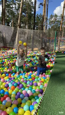 База отдыха Лесная сказка — бронирование путёвок в СПб