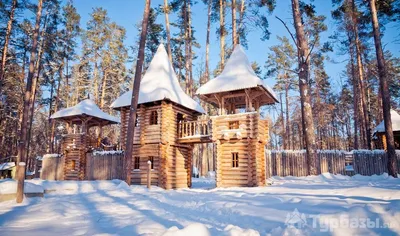 Кафе \"Лесная сказка\" в Воронеже