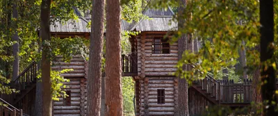 База отдыха Лесная сказка - Рамонь, Воронежская область, фото базы отдыха,  цены, отзывы