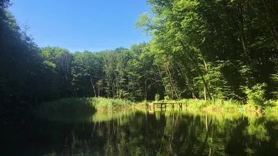 База отдыха Лесное озеро - Верхнерусское, Ставропольский край, фото базы  отдыха, цены, отзывы