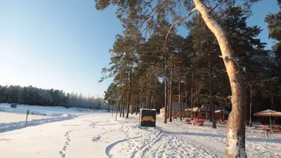 Пруд Лесной оказался самым популярным местом отдыха у тюменцев | Вслух.ru