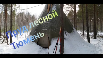 Пруд Лесной Тюмень - YouTube