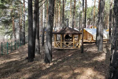 Выход команды Войновки на пруд Лесной, 29.06.2018г., г.Тюмень | Тюменский  Фонд развития бокса - официальный сайт